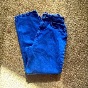 Bright blue Everlane way high curvy jean size 28